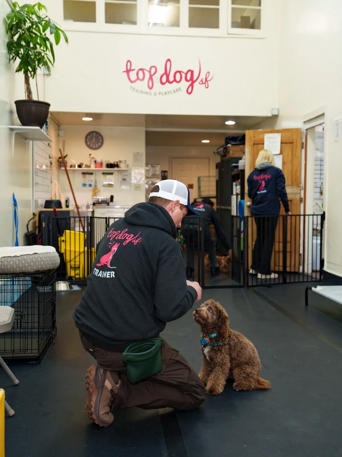 A Top Dog SF trainer kneeling with a curly-coated dog that sits and waits on the training floor