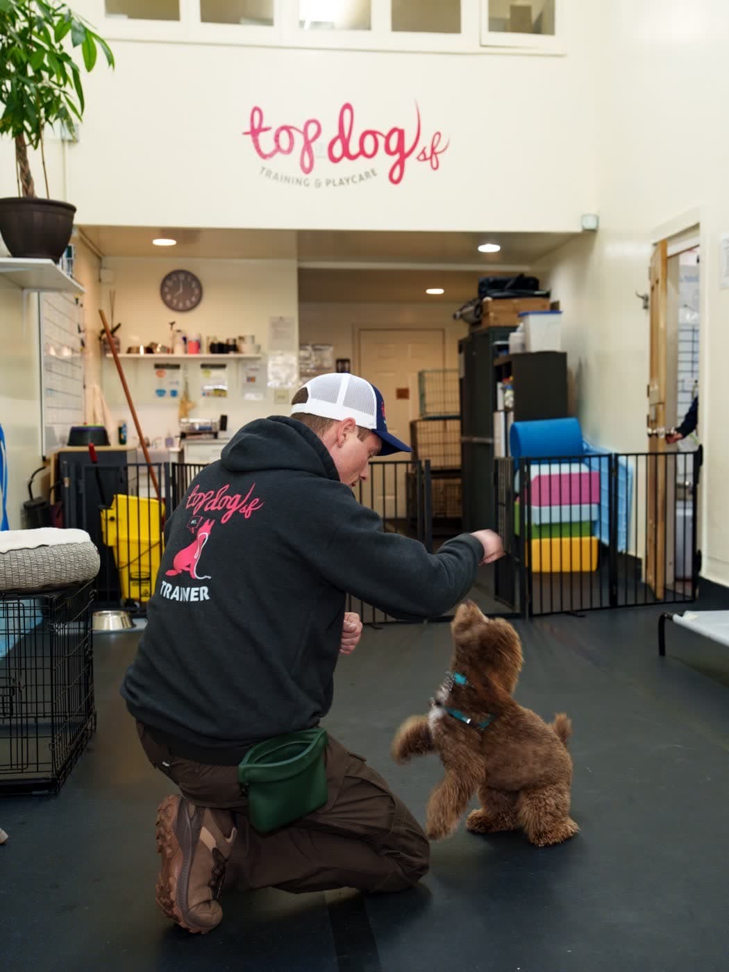 Indoor training session at Top Dog SF