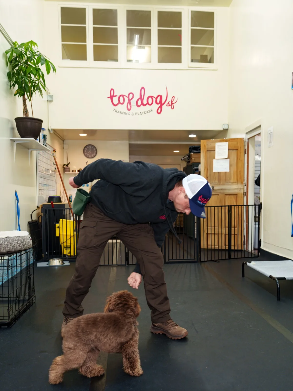 A Top Dog SF trainer working hands-on with a puppy