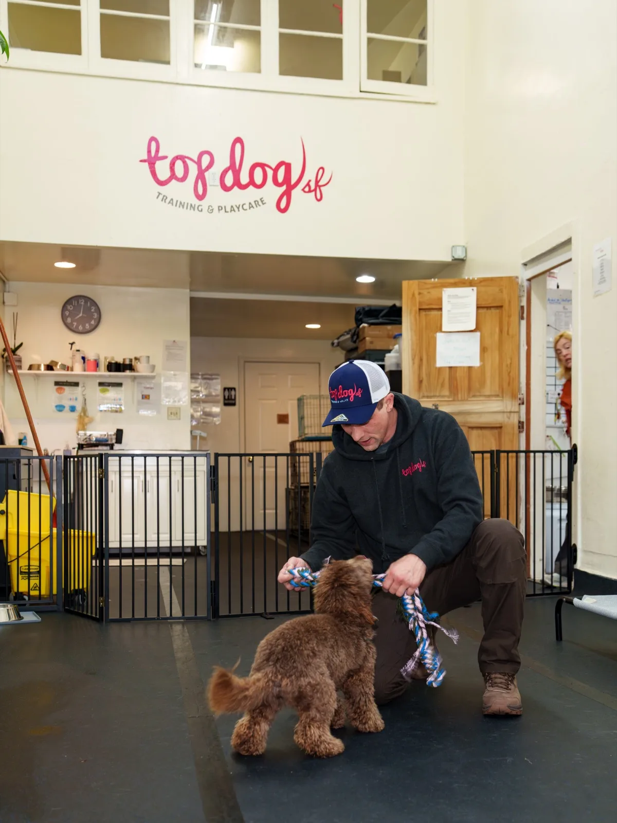 A Top Dog SF trainer playing tug with a brown doodle puppy on the training floor