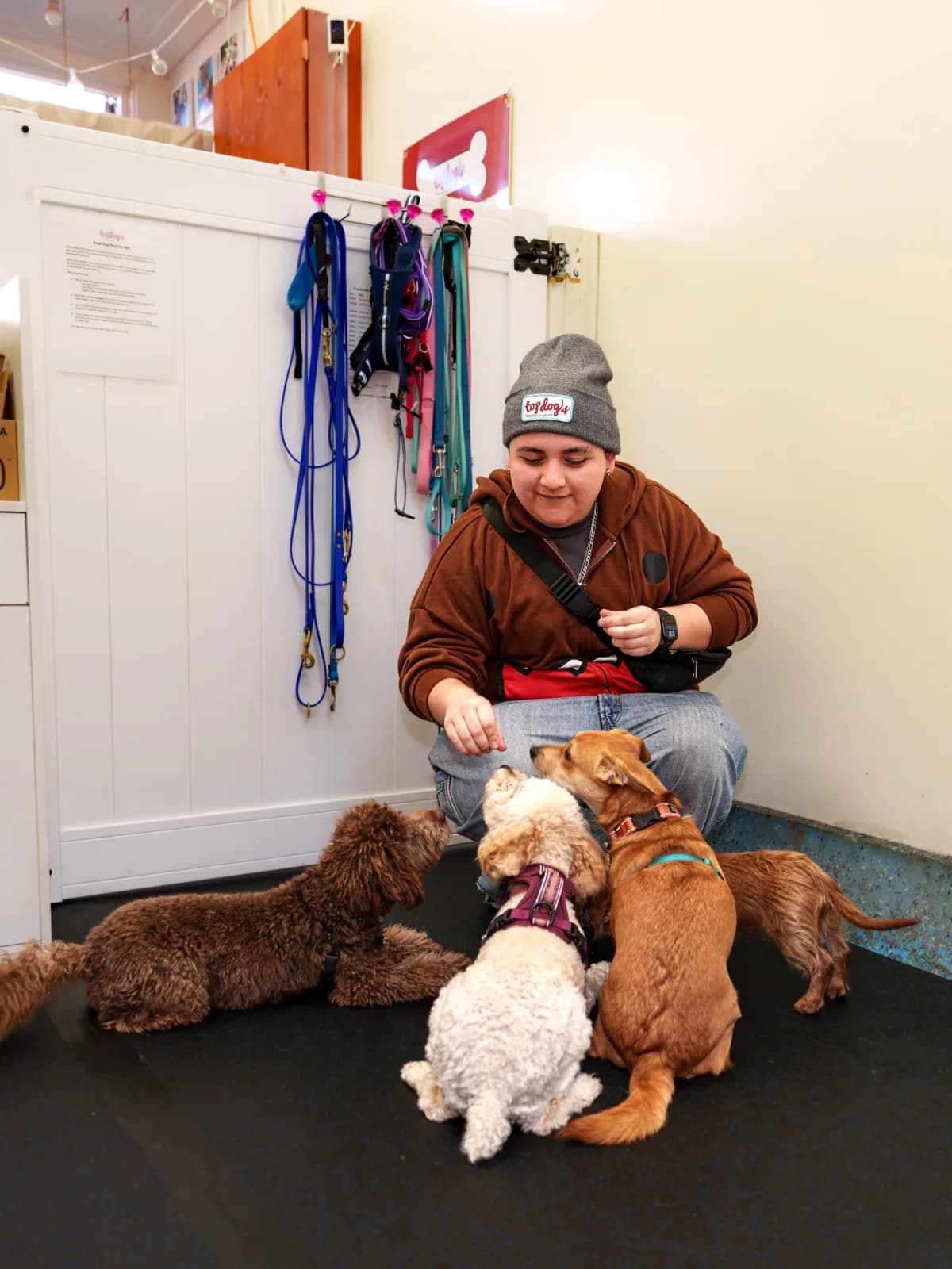 Puppies socializing together during a Top Dog SF class