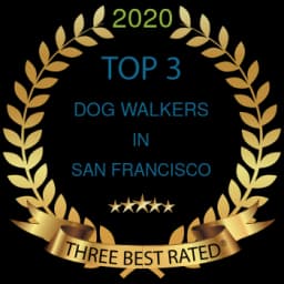 Top 3 dog walkers in San Francisco 2020