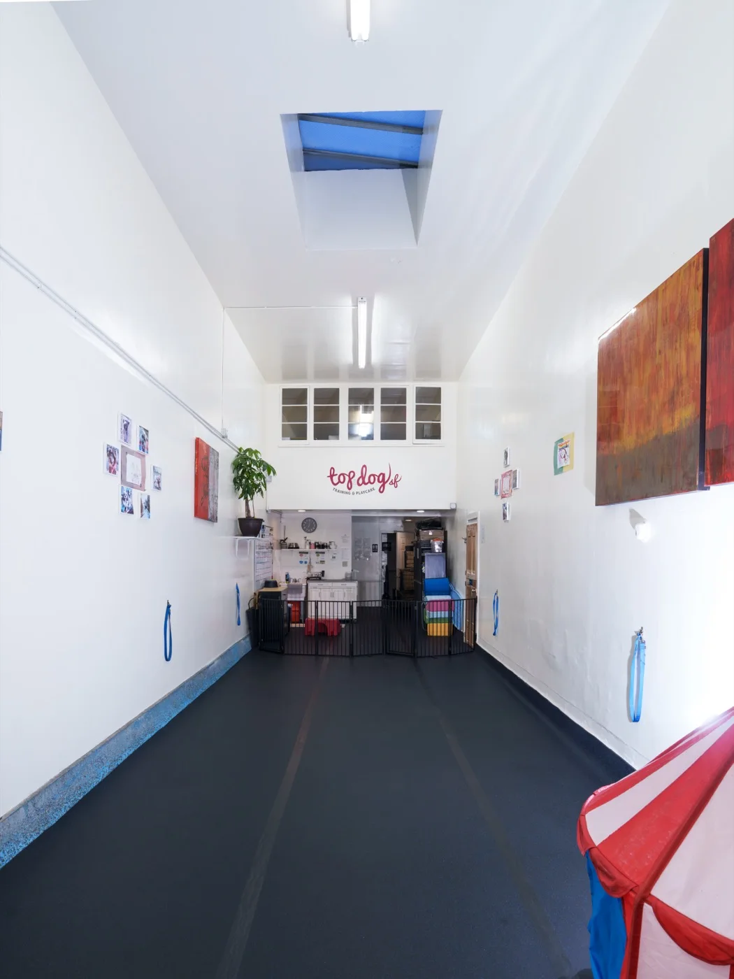 Inside the Taraval Street space: skylit, open, and set up for dogs