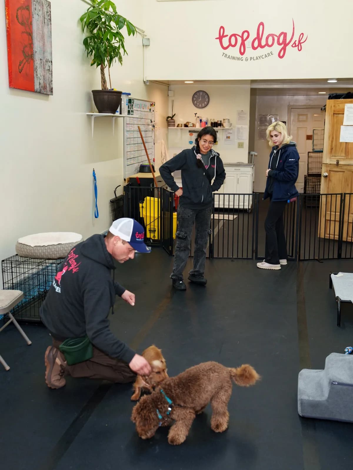 A Top Dog SF group class in session at the Taraval Street studio