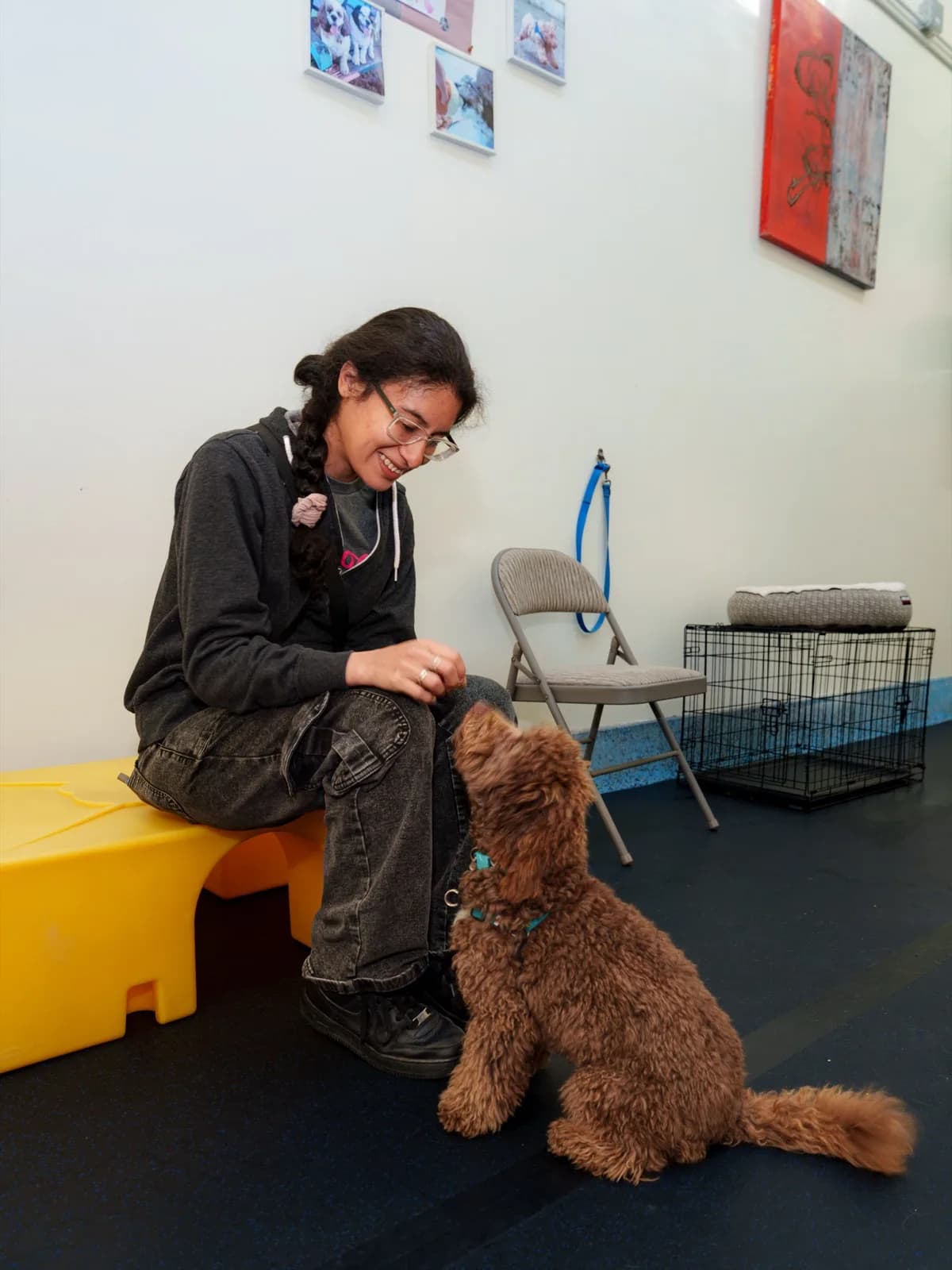 CPDT-KSA private dog trainer in San Francisco working 1:1 with a puppy using reward-based, force-free methods